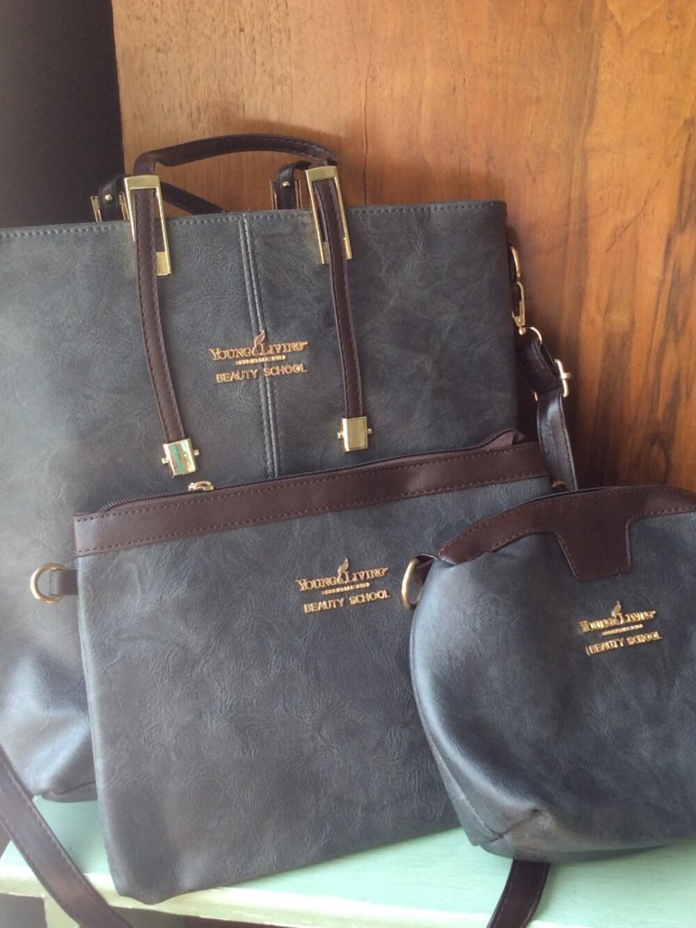 Handbag - 3 piece hand Young Living Beauty School bag collection
